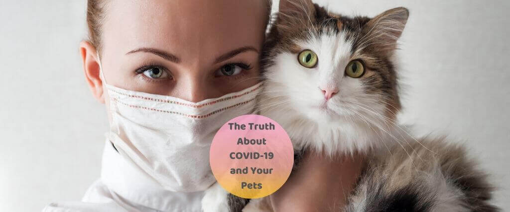 如何区分事实与虚构COVID-19和你的宠物吗